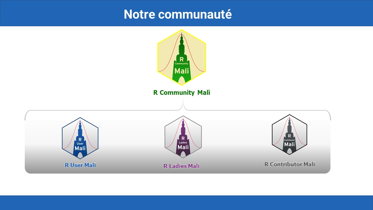 R Community R Community Mali