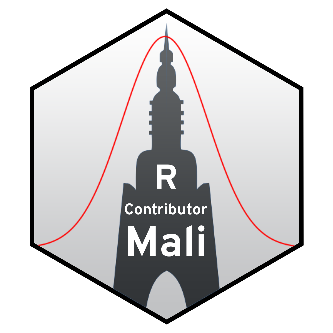 M Ali R R Contributor – R Community Mali